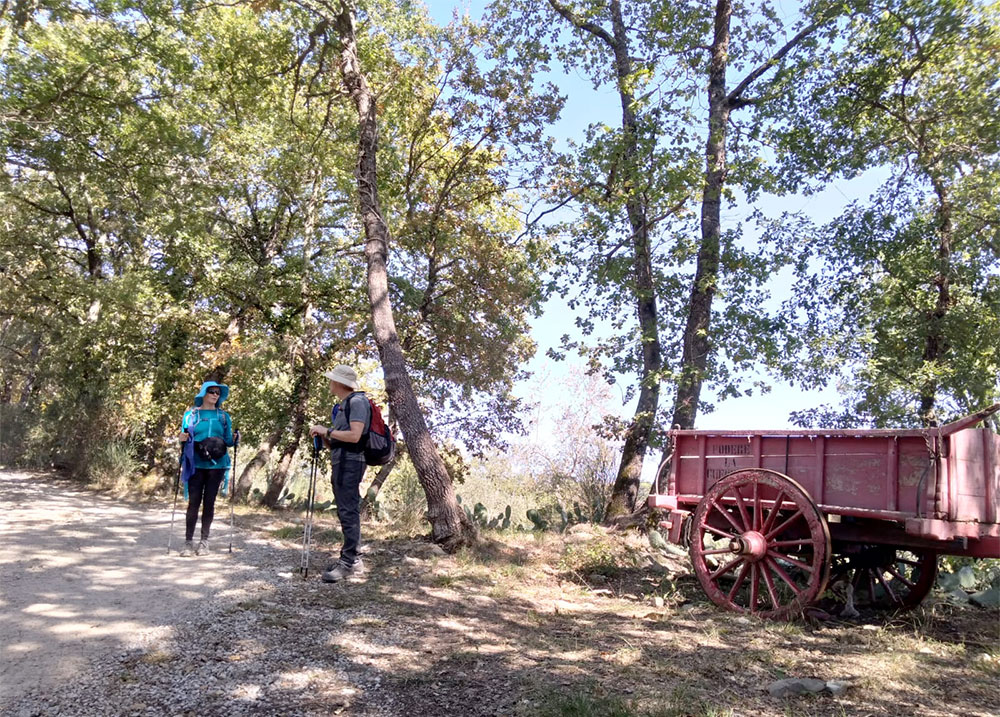 Chianti trekking Naturing