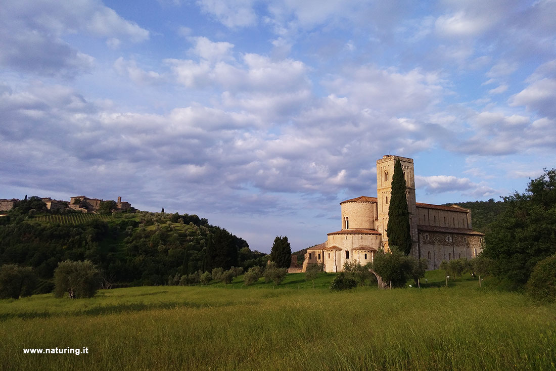 montalcino-santantimo-castelnuovo