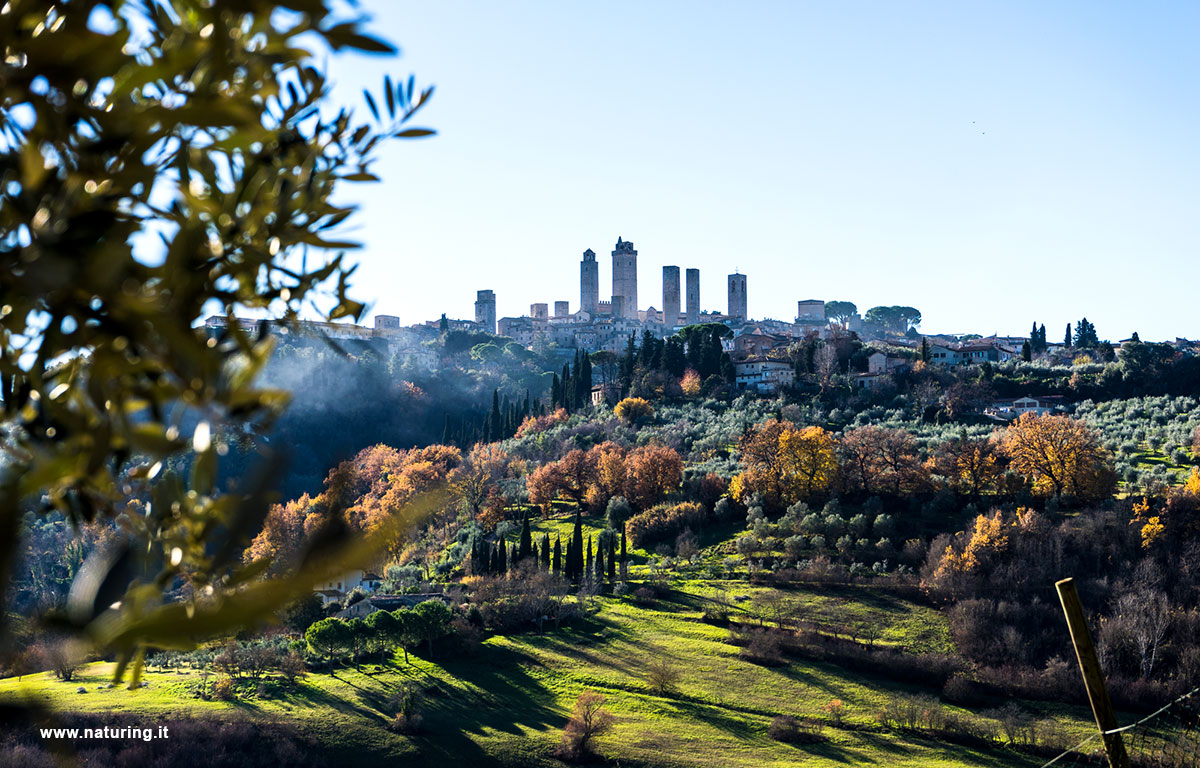 san-gimignano