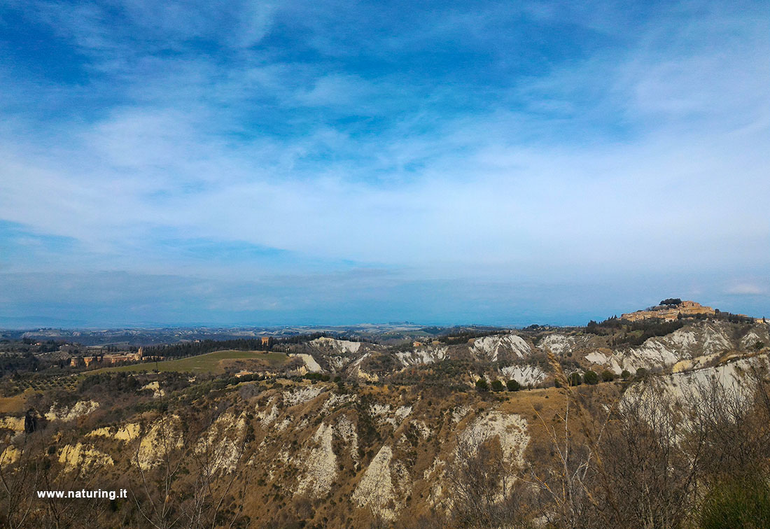 tour-nelle-crete-senesi